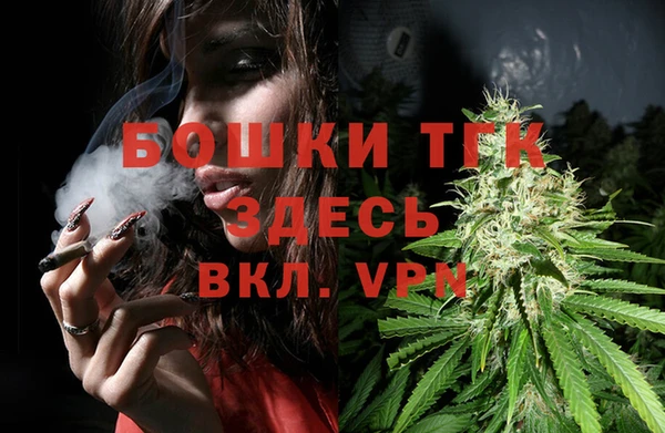 дурь Лабытнанги