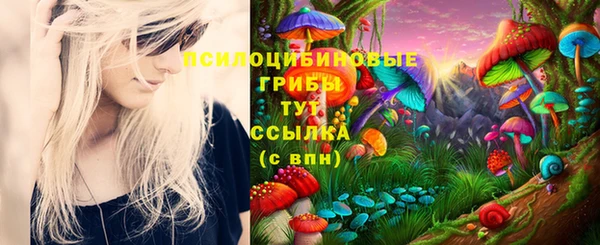 мет Красноперекопск