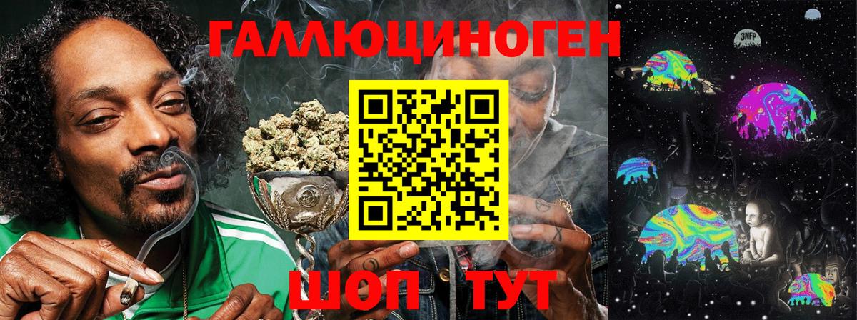 Маркс  Псилоцибиновые грибы Cubensis  Вход с VPN 