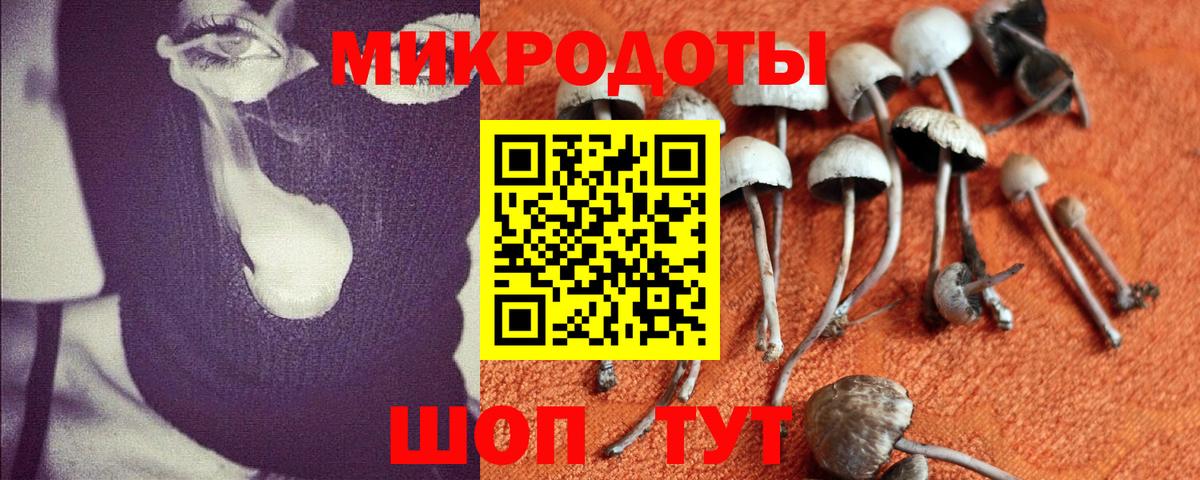 Галлюциногенные грибы Cubensis Маркс